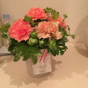 松浦コータローさん パンダと猫 八角形皿 器 - メルカリ