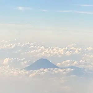 超希少】広島東洋カープ プロモデル バッティングジャージ #石原慶幸