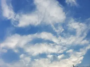 紫音