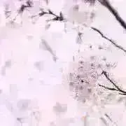 アイ☆チュウ 朔空 10周年 9周年 5周年 クリアトレカ アイチュウ