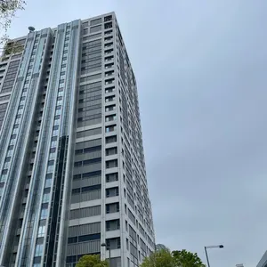 川崎フロンターレ 家長昭博選手 2021シーズン実使用ソックス MF41/家長 昭博選手 | 選手・スタッフプロフィール2021 : KAWASAKI