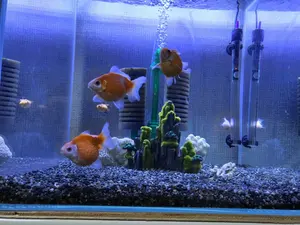 ICOM 純正アクセサリー MB-17A BP-110 BC-74 IB-84 - メルカリ