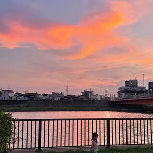 SUGAR ROSE シュガーローズミンクライク ファー ブルゾン ジャケット