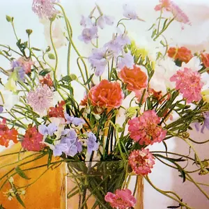 カナリィ 加工ずれ‼️ レア‼️ポケモンカード - メルカリ