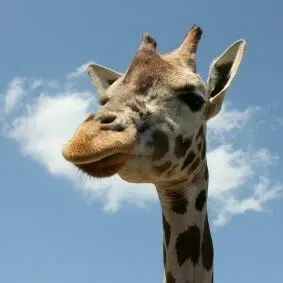 moo✿プロフ要確認