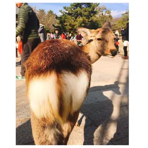 SUPER JUNIOR SS10 銀テープ 愛知 - メルカリ