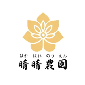 速達 19 アエオニウム 多肉植物 アエオ弁当 カット苗 6種セット