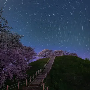 ADA ガラス水槽 600×360×300(引き取り限定) - メルカリ