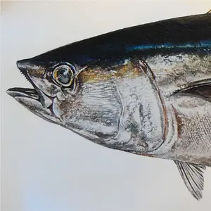 うるち白米 10kg／注文次第籾摺精米／完全天日棒掛乾燥／冬季寒晒し籾 