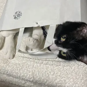 はまさん