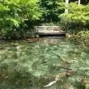 Kartellジェリーズファミリーオーバルトレイ CRY 1枚 - メルカリ