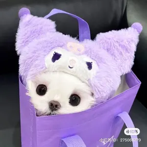 非売品 今市隆二 マグカップ グラス - メルカリ
