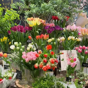 韓国BL シーズングリーティング まとめ売り - メルカリ