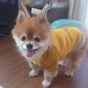 川嶋あい 2021ワンマンライブ Welcome 直筆サイン入りアルバム