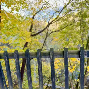 2026 MoMA 月間カレンダー Jumping Point calendar - メルカリ