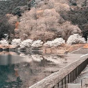 小林みくるセット - メルカリ
