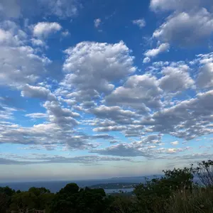 アナンダマイドラボラトリウム フェヌグリーク - メルカリ