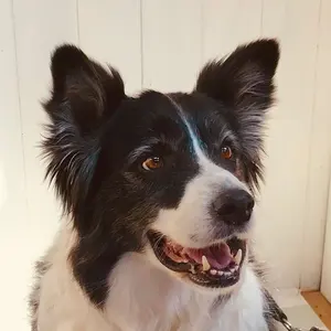 関東手渡し可】新車外し 2025年製 ジムニーノマド 純正ホイールタイヤ4