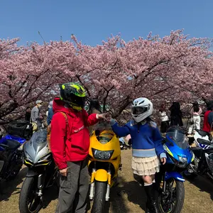 s*a様 CBR600RR PC40 純正 キーセット＆ECU 鍵/キーシリンダ - メルカリ