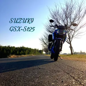 最終値下げ】GSX-S125 タイスズキ純正 サイドカウル ブラック - メルカリ