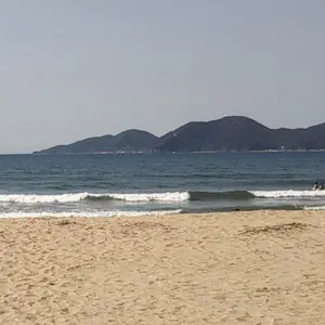 スターボード PRO サップ sup 7'7