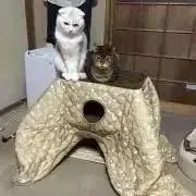 江戸時代末期　伊万里焼　有田焼　陶器製手炙り火鉢 江戸時代末期 伊万里焼 有田焼 陶器製手炙り火鉢の通販 by