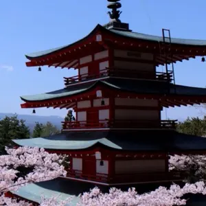 PSA10】LV x 村上 隆 トレカ コレクティブ カード 044/R - メルカリ