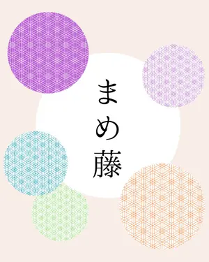 m1789＊美品 正絹 夏着物 薄物 蟹 居敷当て付 手縫い仕立て 付け
