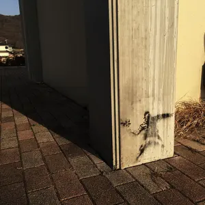 河内のオッサンの唄 DVDまとめ売り 川谷拓三 東映 ピラニア軍団