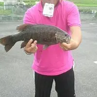 T'S工房 ちびクローラー 2016年モデル - メルカリ