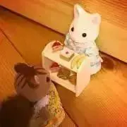 ぼくチロ！ DVD 二枚 中古 - メルカリ