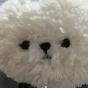 美品★脂肪分解PANDA BOX 40kHzキャビテーション箱付　痩身 美品☆脂肪分解PANDA BOX 40kHzキャビテーション箱付 痩身 - メルカリ