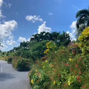 FR2 羊蹄 ニセコ限定パーカー - メルカリ