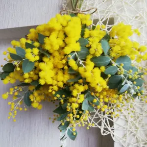 ☘️ユーカリ銀世界★フレッシュリーフ＊たっぷり☘️メルカリ便80サイズ ☘️ユーカリ銀世界☆フレッシュリーフ＊たっぷり☘️メルカリ便