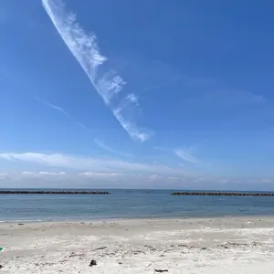 24時間以内に発送✨️