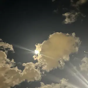 ぽちゃ　プロフィール確認してください