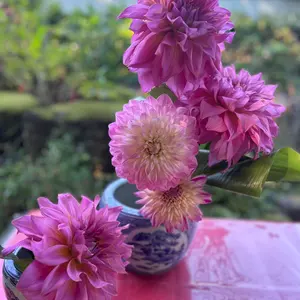 ワンピース WCF ログストーリーズ 未開封 22点セット コンプ - メルカリ