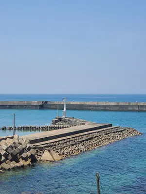 北海道、沖縄、離島キューリグkカップセガフレードザネッティローマスタイルX10箱 北海道、沖縄、離島キューリグkカップセガフレードザネッティローマ
