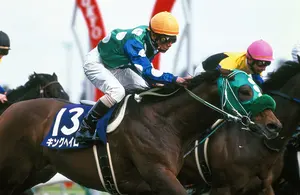 川井萌選手 フェイスタオル ボートレース浜名湖 限定品 - メルカリ