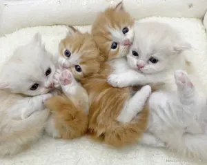 ☆夏休みセット☆カブトムシ☆クワガタ☆ダイカット☆クラフトパンチ