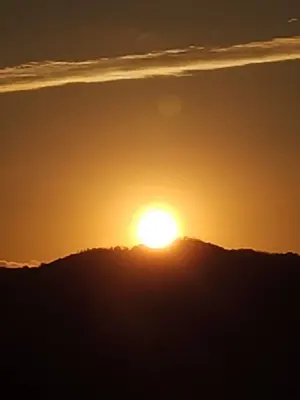 Rimi(3/30~4/5迄お休み)