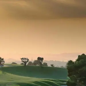 アームスゲイン 【armsgain】最高級パタークラブ - メルカリ