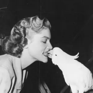 さや様専用【印伝の山本】永青文庫 黒き猫 印傳の名刺入れ - メルカリ