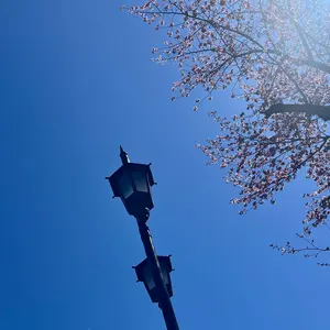 GRe4NBOYZ 92さん ガチャガチャ まとめ売り - メルカリ