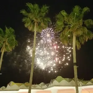 他出品との纏め割あり！7☆頭