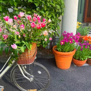 新品】UNITED ARROWS Cジャガードコンビワンピース F 57646