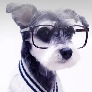 ウホ