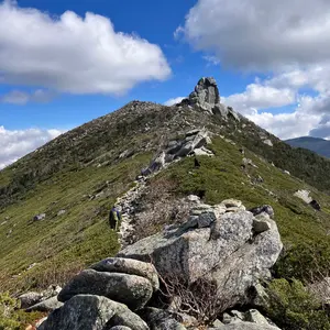 最終価格 美品ルイスレザーサイクロンカウハイドブルー 34 タイト