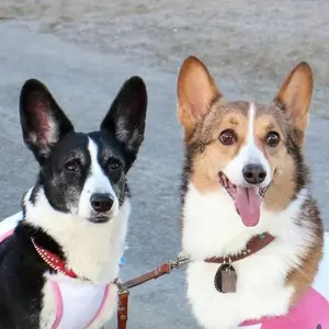 レオン＆ジャスミン（Shopsに移行）