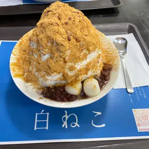 最終値下げ】Infinity サーフパンツ インフィニティフィジーク26インチ